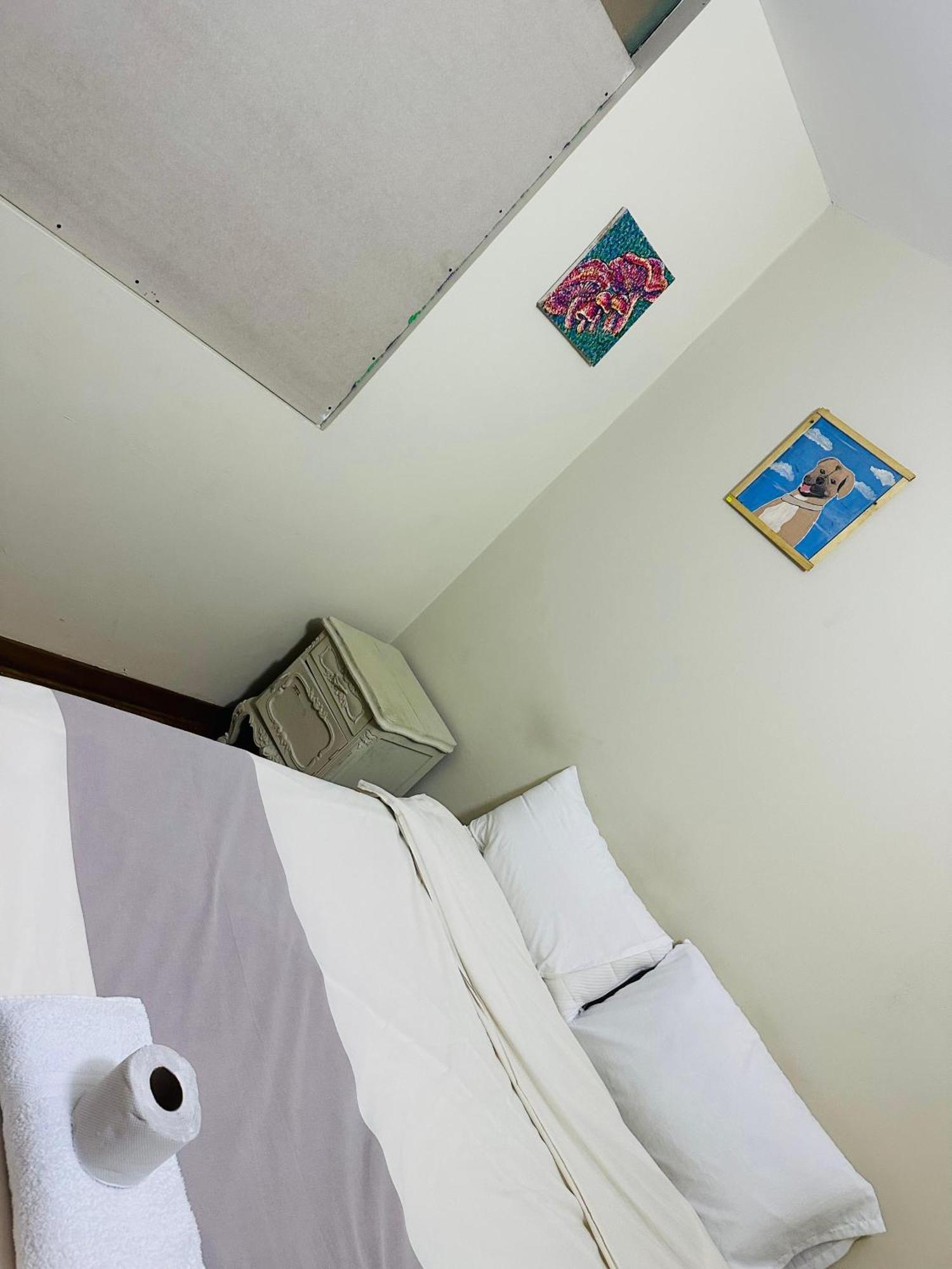 Hostel Colores Miraflores ليما المظهر الخارجي الصورة